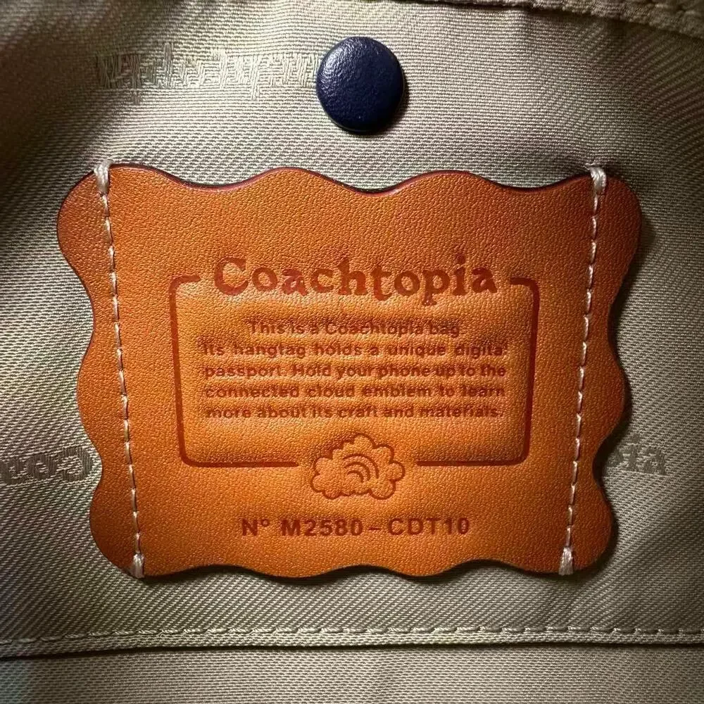Coach Coachtopia Alter/Ego Small Slouchy Shoulder Bag In Upcrafted Cotton CDT10